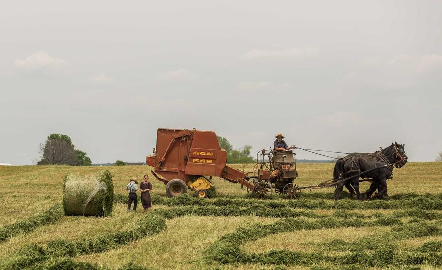 Your Voice Matters to Us